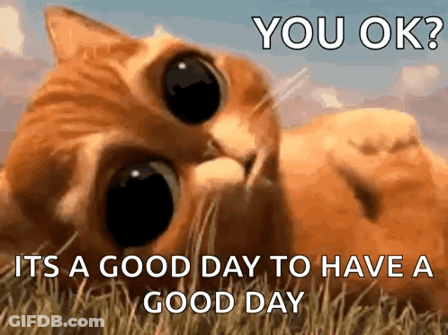 Have A Great Day Jackie Simon Peter Grace Cats The 13Th Friday GIF