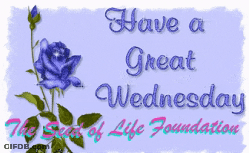 Have A Great Day Wednesday At School GIF
