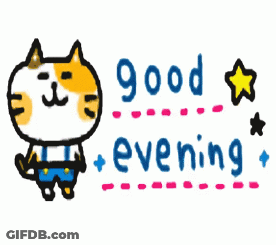 Have A Great Evening Kitty GIF