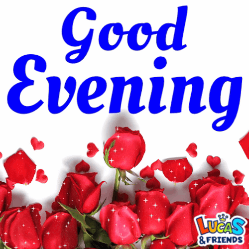 Have A Great Evening Red Roses GIF