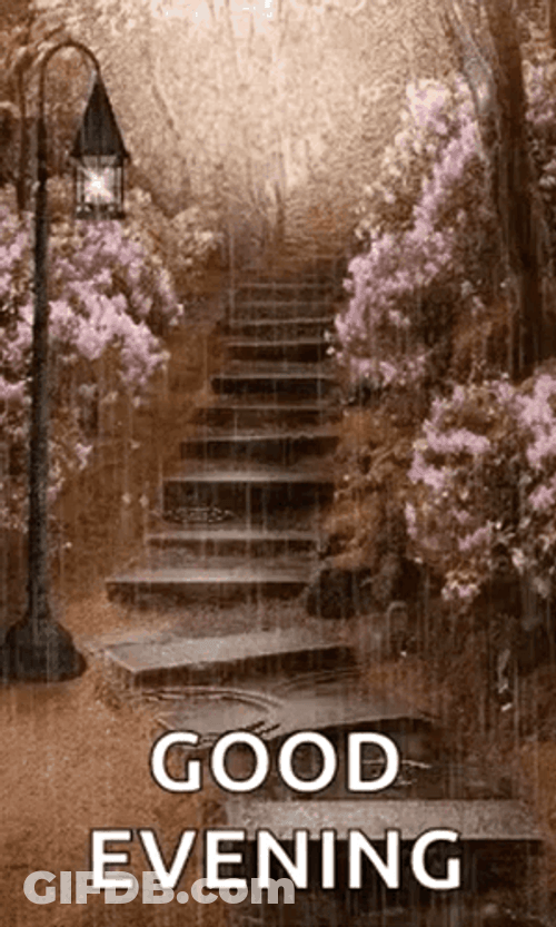 Have A Great Evening Soaking Stairs GIF
