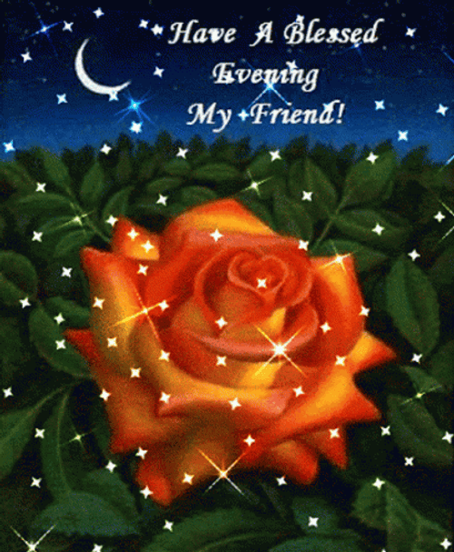 Have A Great Evening Sparkly Night GIF