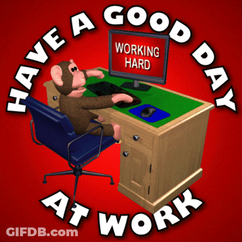 Have A Great First Day At Work Boss Monkey GIF