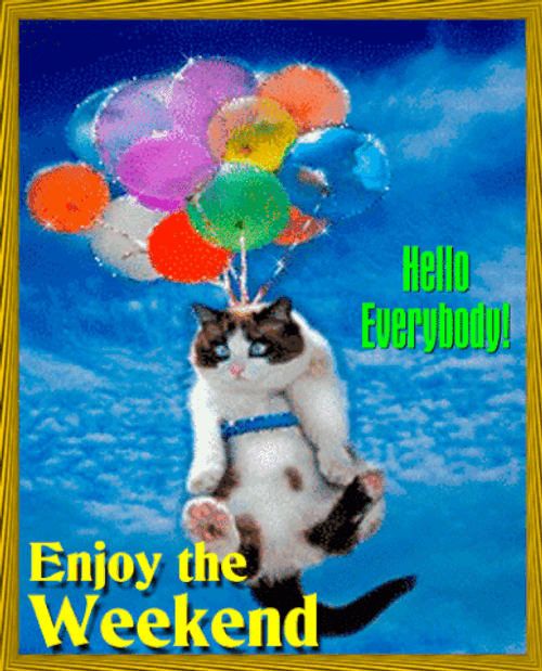 Have A Great Saturday Cat With Balloons Floating GIF