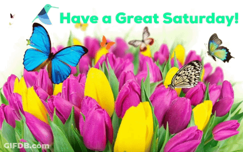 Have A Great Saturday Flowers With Butterflies GIF
