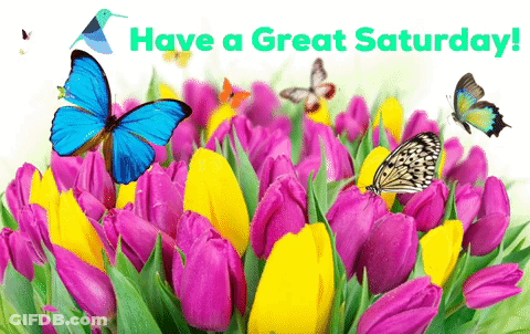 Have A Great Saturday Greeting Card With Butterflies And Flowers GIF
