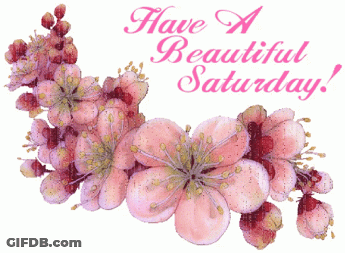 Have A Great Saturday Line Of Flowers GIF