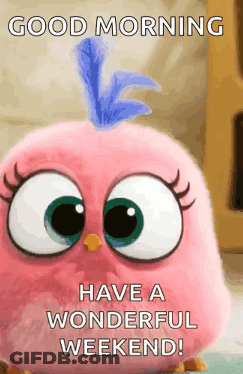 Have A Great Saturday Pink Angry Bird GIF
