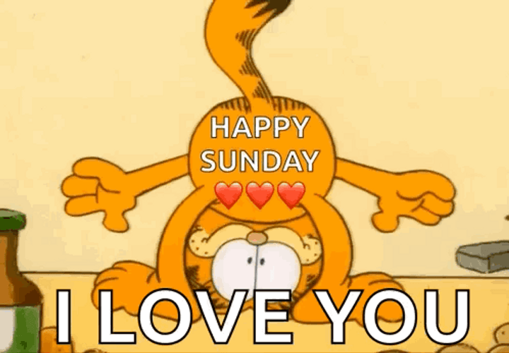 Have A Great Sunday Garfield I Love You GIF
