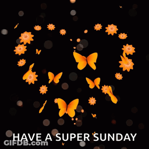 Have A Great Sunday Heart Butterfly GIF