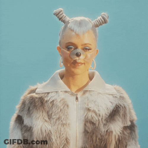 Have A Great Wednesday Animal Costume GIF