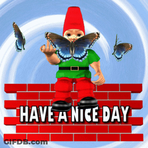 Have A Great Wednesday Butterflies Around Gnome GIF