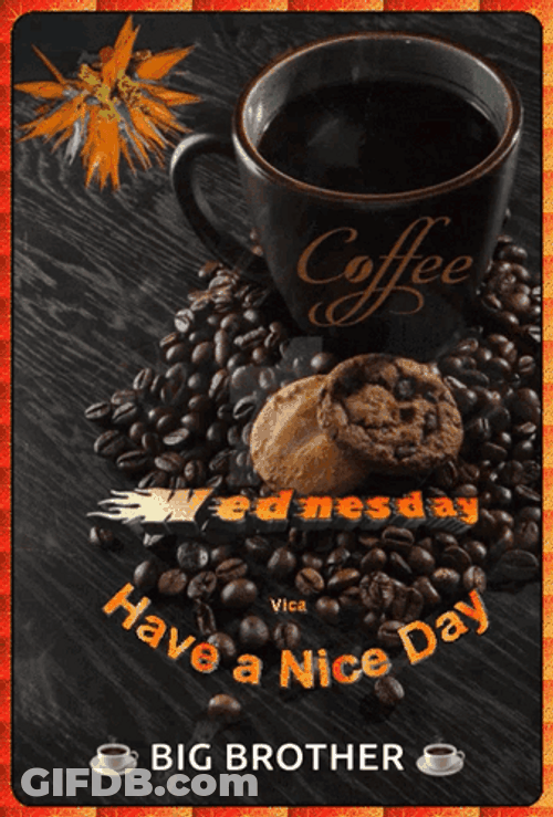Have A Great Wednesday Coffee Beans GIF