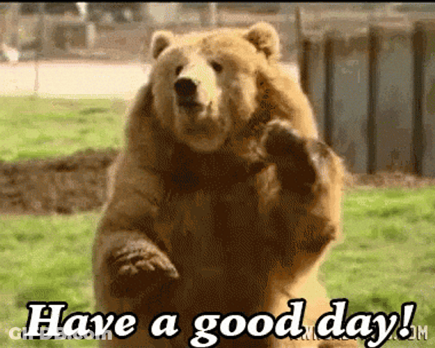 Have A Great Wednesday Grizzly Bear GIF