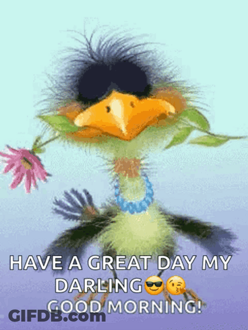 Have A Great Wednesday Morning Darling Funny GIF