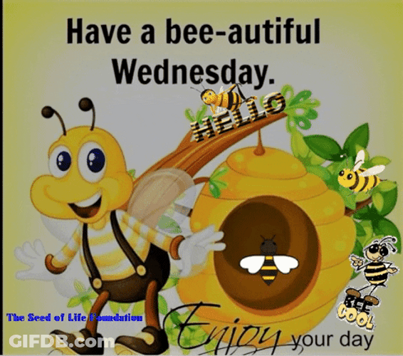 Have A Great Wednesday Save The Bees GIF