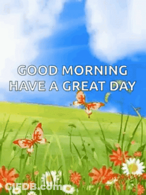 Have A Great Wednesday Sunny Day GIF