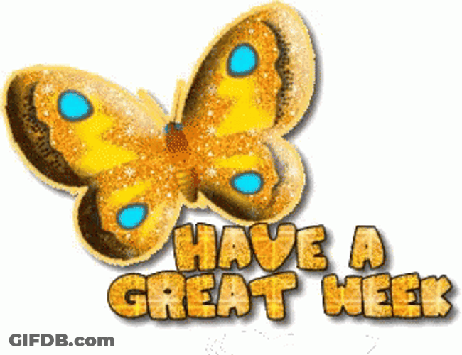 Have A Great Week Yellow Butterfly GIF