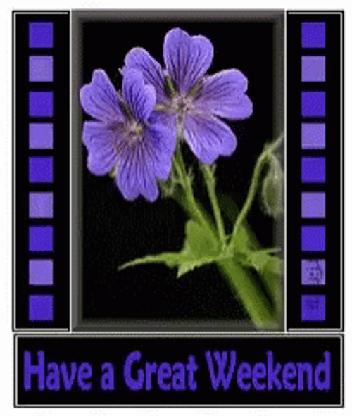Have A Great Weekend Black Art GIF