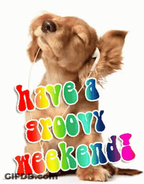 Have A Groovy And Happy Long Weekend GIF