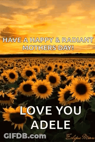 Have A Happy And Radiant Mothers Day ! Love You Adele GIF
