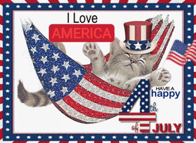 Have A Happy Fourth Of July GIF
