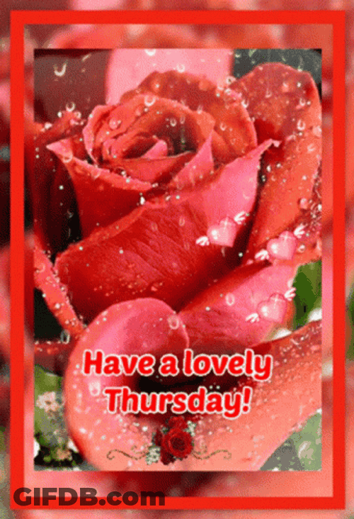 Have A Lovely Thursday Blessings GIF
