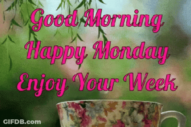 Have A Marvelous Monday GIF