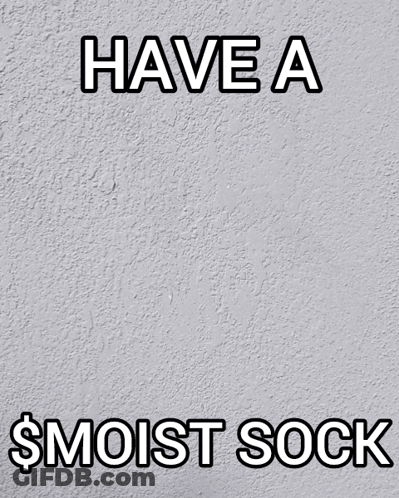 Have A $Moist Sock GIF