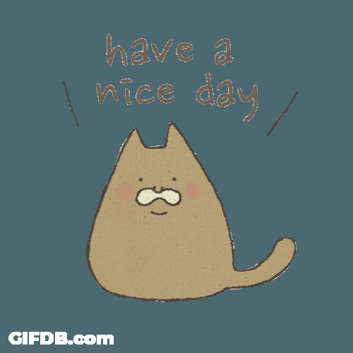 Have A Nice Day Brown Cat Old Man Face GIF