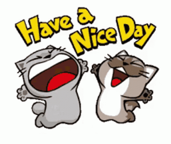 Have A Nice Day Cats Dancing Team GIF