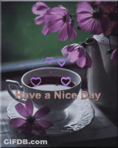 Have A Nice Day Coffee Cup Hearts Chill Relax GIF
