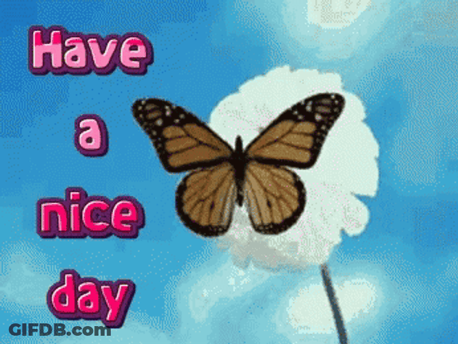 Have A Nice Day Cute Butterfly GIF