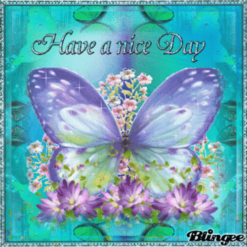 Have A Nice Day Glittering Butterfly GIF