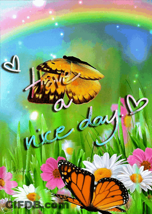 Have A Nice Day Rainbow Fields Butterfly Spring GIF