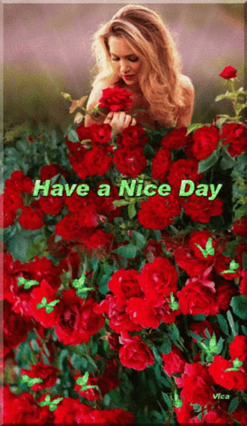 Have A Nice Day Red Roses Enjoy Butterflies GIF