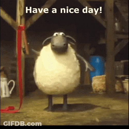 Have A Nice Day Shaun The Sheep Lace Dance GIF