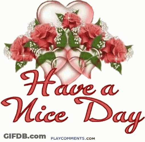 Have A Nice Day Sparkling Flowers Pretty GIF