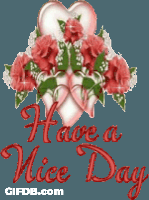 Have A Nice Day Sticker GIF