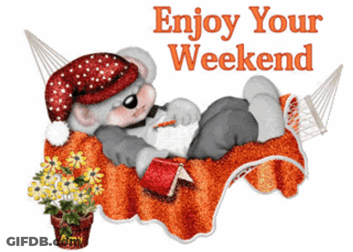 Have A Nice Enjoy Weekend Sleeping Koala GIF