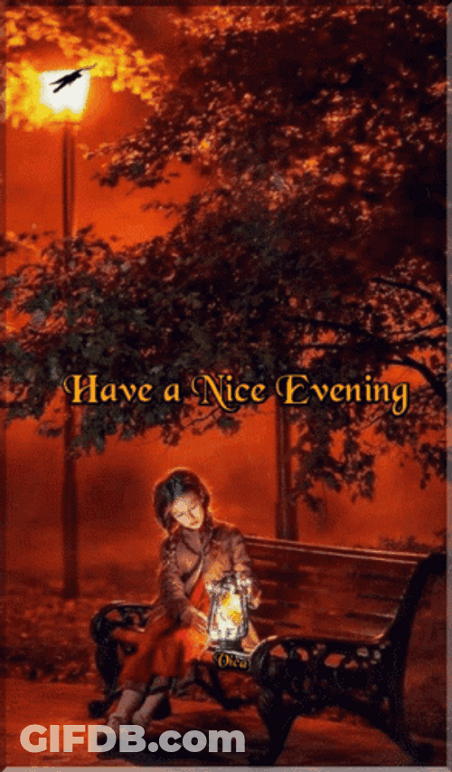 Have A Nice Good Evening Park Bench GIF