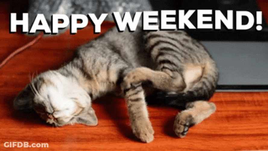 Have A Nice Happy Weekend Sleeping Cat GIF