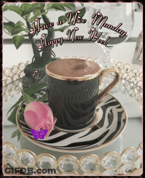 Have A Nice Monday New Week GIF