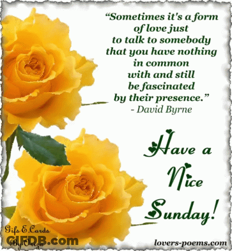 Have A Nice Sunday With Yellow Roses GIF