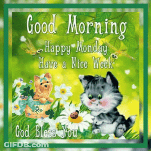 Have A Nice Week Monday Blessings GIF