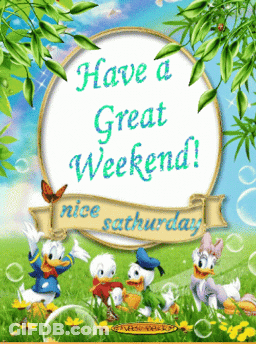 Have A Nice Weekend Sathurday Donald Duck GIF