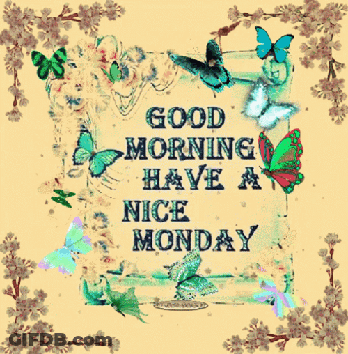 Have A Nice Wonderful Monday GIF