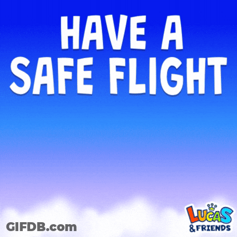 Have A Safe Flight GIF