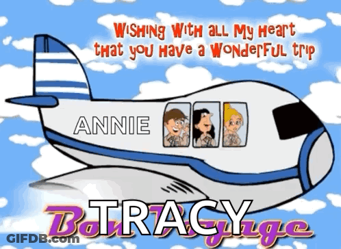 Have A Safe Flight Sticker GIF