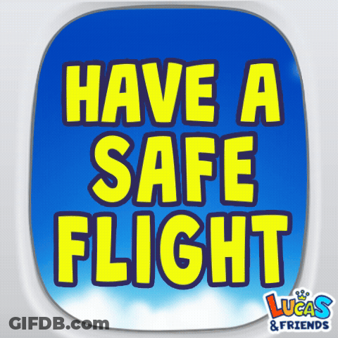 Have A Safe Flight Sticker GIF